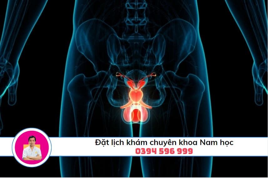 Không gian phòng khám hiện đại